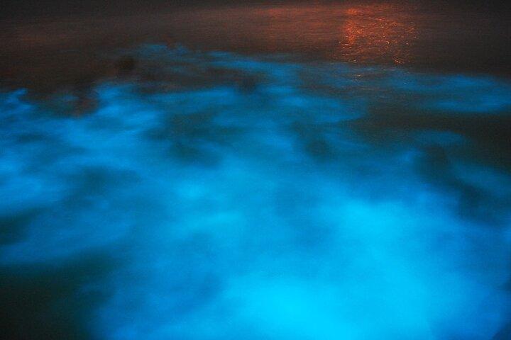 Luminous Lagoon Night Tour from Montego Bay