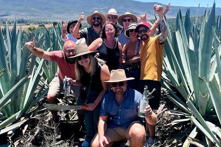 Oaxaca Countryside: Agave Fields & Mezcal