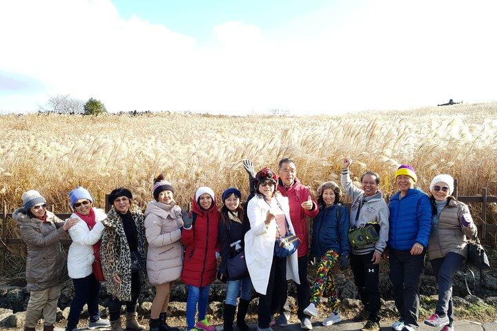 Jeju bus tour with professional English guide for cruise customer