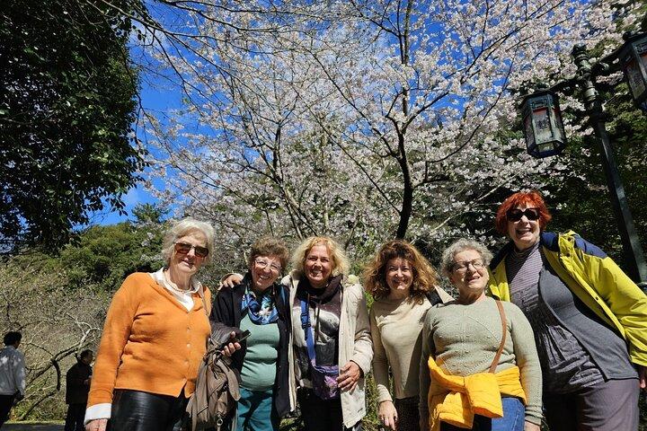 Jeju bus tour with professional English guide for cruise customer