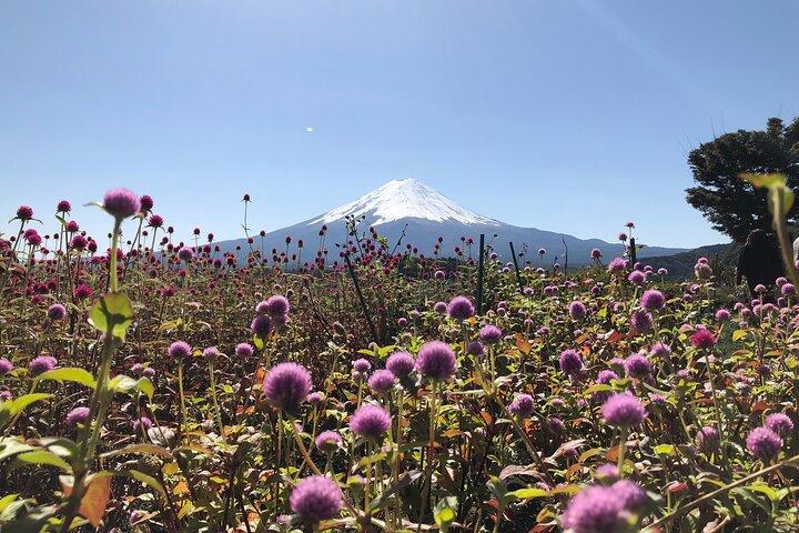 From Tokyo: Mount Fuji, Cruise and Sake Tasting Tour