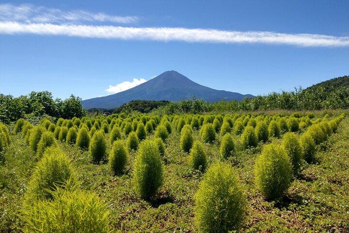 From Tokyo: Mount Fuji, Cruise and Sake Tasting Tour
