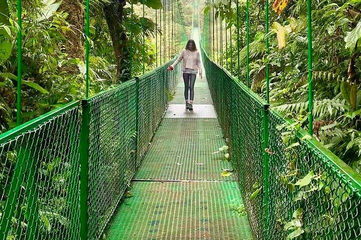Combo Tour Suspension Bridges + Night Walk in Cloud Forest