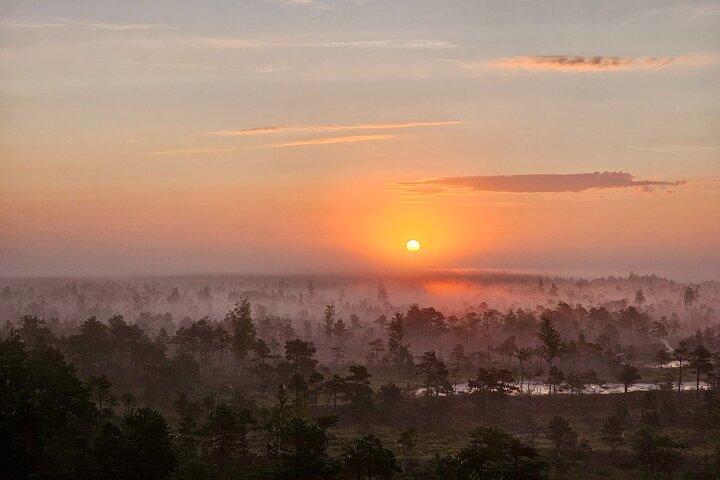 Ķemeri Great Bog Discovery With Optional Sunrise & Jūrmala Visit