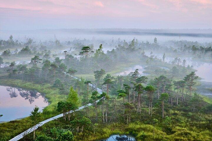 Ķemeri Great Bog Discovery With Optional Sunrise & Jūrmala Visit