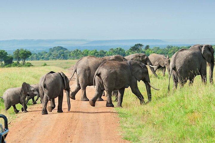 3 Days Group Joining Serengeti and Ngorongoro Safari