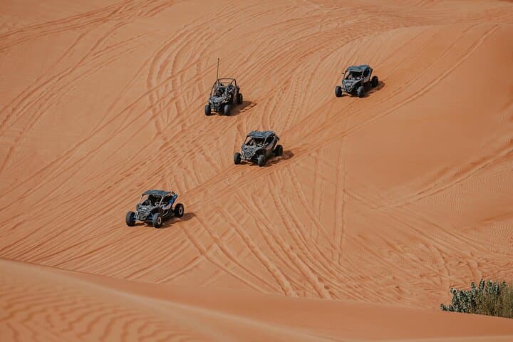 Dubai Desert Safari Dune Bashing, Camel Ride, Sandboarding & BBQ