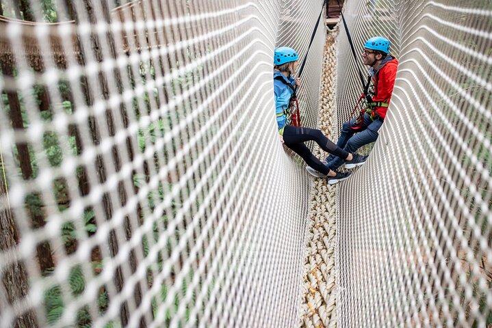 Rotorua: Redwoods Altitude High Ropes Adventure