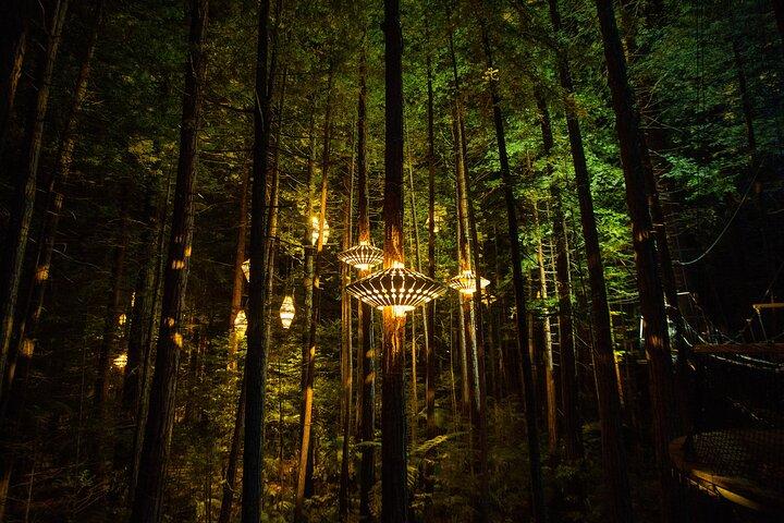 Rotorua: Redwoods Adventure 3-Hours