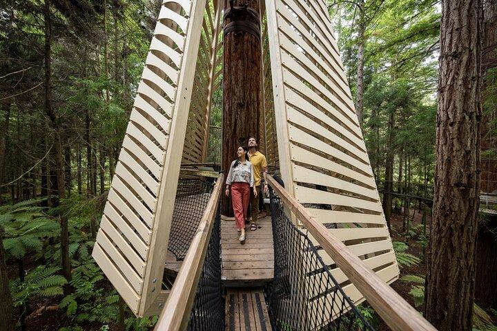 Rotorua: Redwoods Adventure 3-Hours