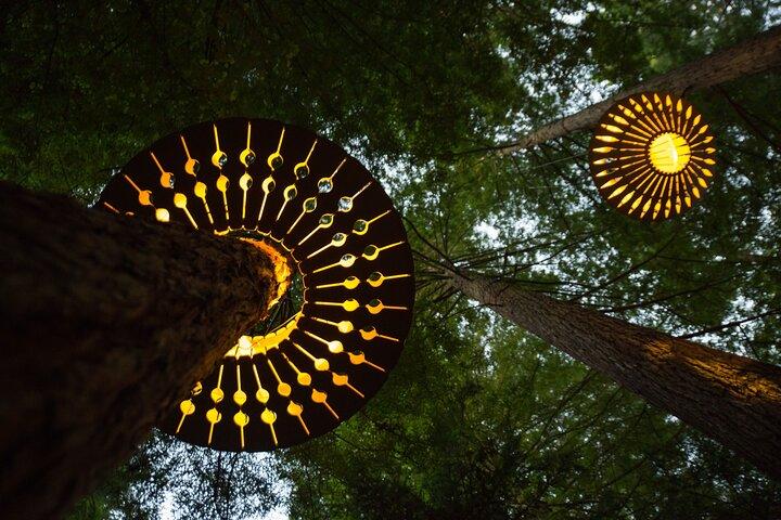 Rotorua: Redwoods Adventure 3-Hours