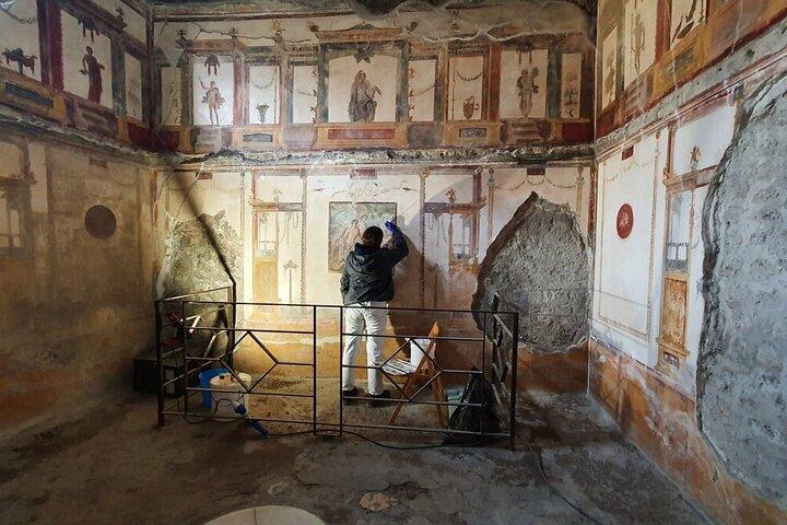 Private Pompeii Walking tour of the Latest Discoveries
