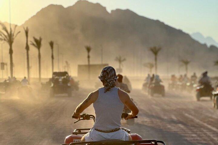 Sharm El Sheikh: ATV Quad Bike, Camel Ride, Bedouin Dinner & Show