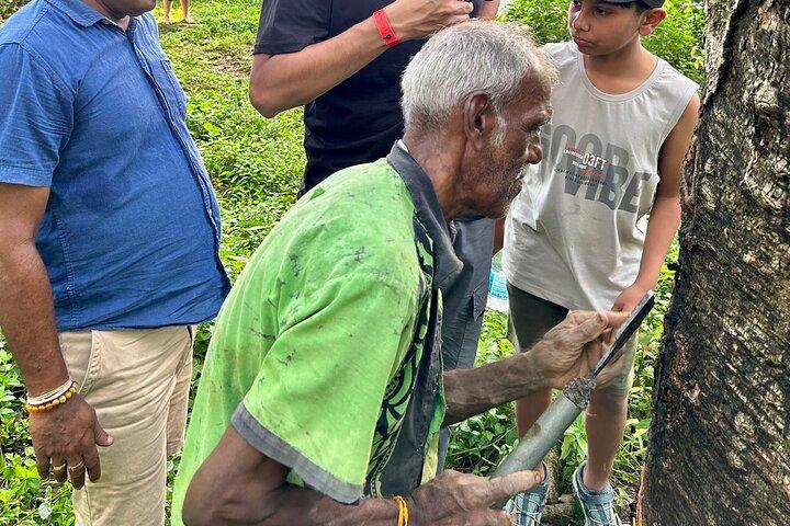 Explore Bentota Village: Guided Tuk Tuk Safari