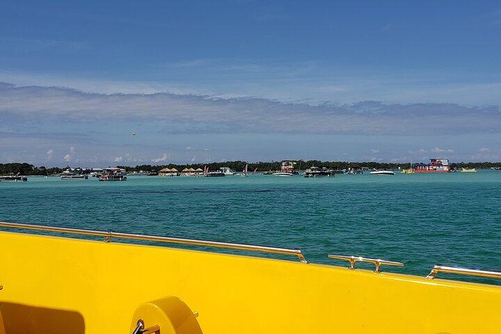 Hydro Rocket Dolphin Sightseeing Boat Tour from Destin