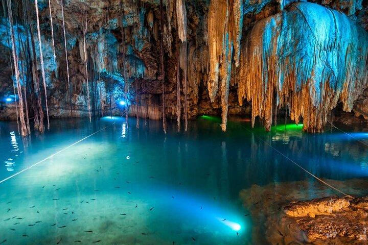 Luminous Lagoon Night Tour from Montego Bay
