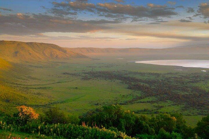 Full Day Ngorongoro Crater Adventure
