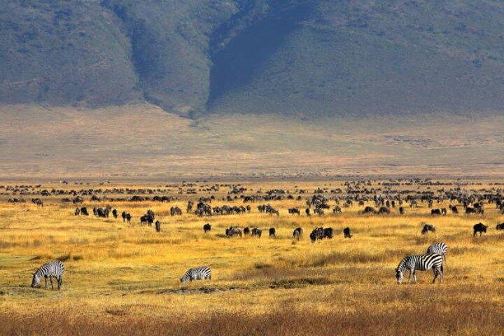Full Day Ngorongoro Crater Adventure