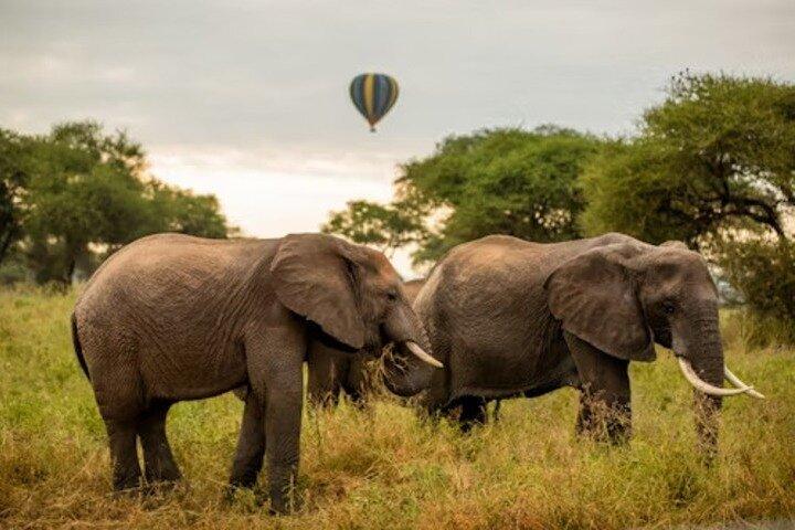 Nature's Canvas, 2 Day Safari to Tarangire & Ngorongoro Crater