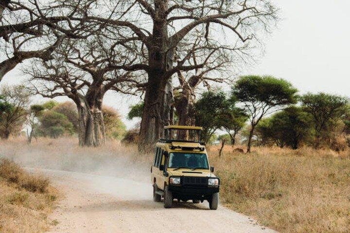5 Days Guided Safari along Tanzania's Northern Circuit