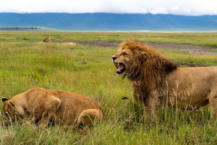 Ngorongoro Crater Exclusive: A Journey into Africa’s Eden