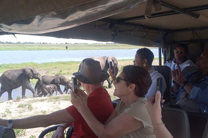 The Chobe Safari Day trip from Livingstone