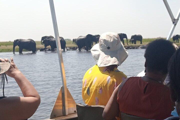 The Chobe Safari Day trip from Livingstone