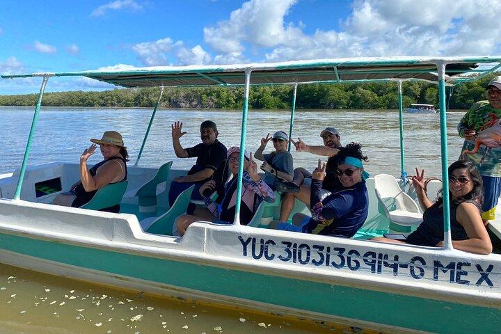 Boat tour through the mangroves of Celestún and Playa from Merida