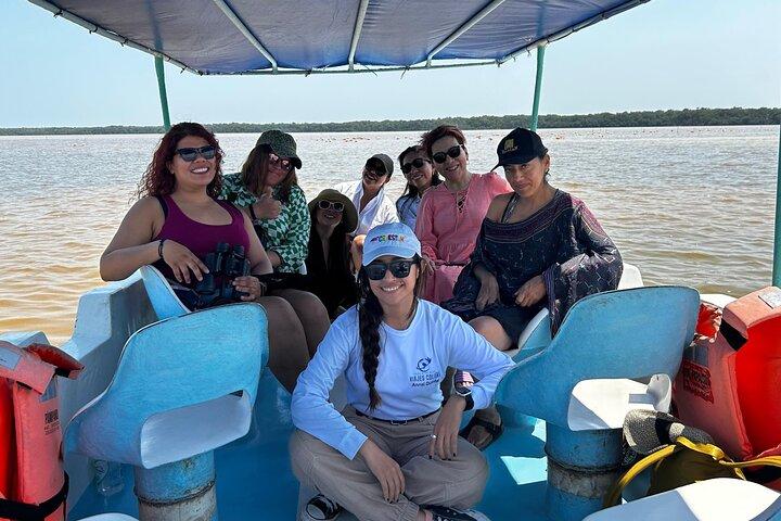 Boat tour through the mangroves of Celestún and Playa from Merida