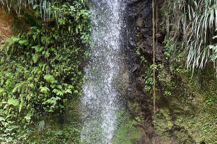 3-Hour St. Lucia Island Tour with Zero Entry Free