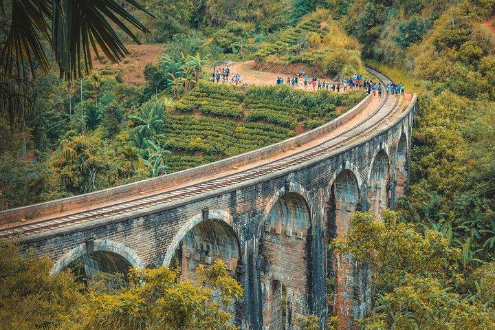 Sri Lanka 8 Day tour Private Guided Tour include top rated Hotels