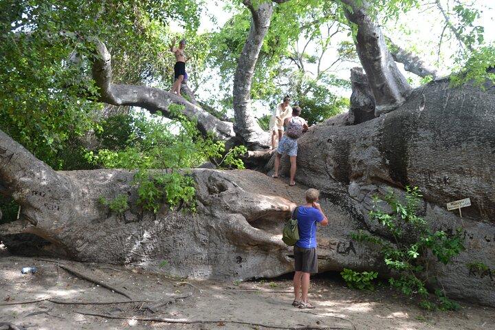 A Full Day Safari Blue Tour And Blue Lagoon