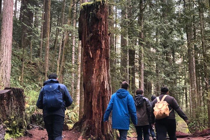 Snoqualmie falls and Twin Falls Hike
