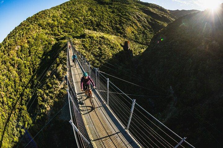 Wellington Remutaka Rail Trail eBike Cycle Tour