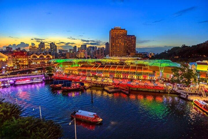 Private Singapore Night City Tour with Driver