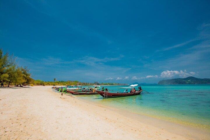 Koh Tan and Pig Island Half-Day Tour by Speed Catamaran