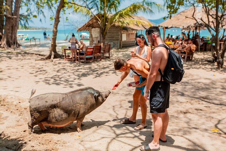 Koh Tan and Pig Island Half-Day Tour by Speed Catamaran
