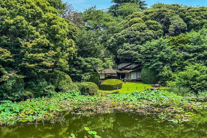 Tokyo National Museum & Ueno Park Private guided tour