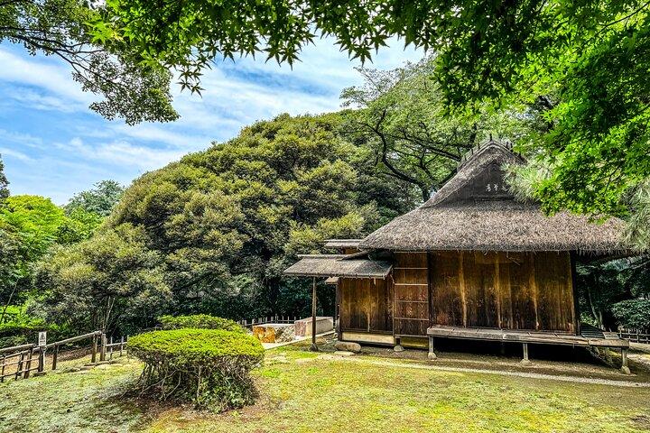Tokyo National Museum & Ueno Park Private guided tour