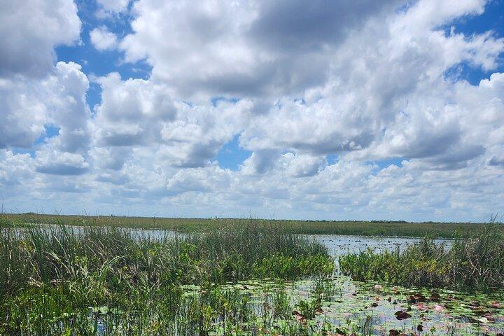 Everglades Airboat Eco Tour: Small group & 2 Private Islands