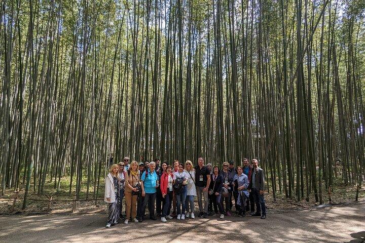 Private Walking Tour in the Arashiyama Bamboo Forest with Guide