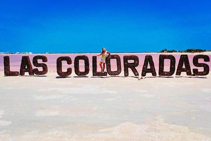 Las Coloradas Tour to Pink Lakes and Wildlife Wonders