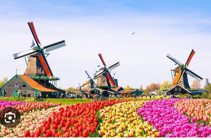 Windmills Country side tour Zaanse Schans-Cheesefactory-Volendam