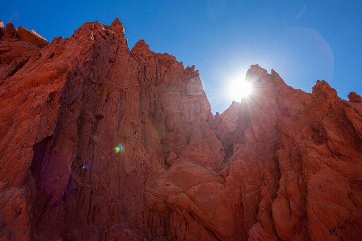 The Calchaqui Valley Winery and Scenery Tour in Cafayate