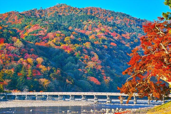 Kyoto Arashiyama: Fall Foliage Walking Tour【Autumn's limited】