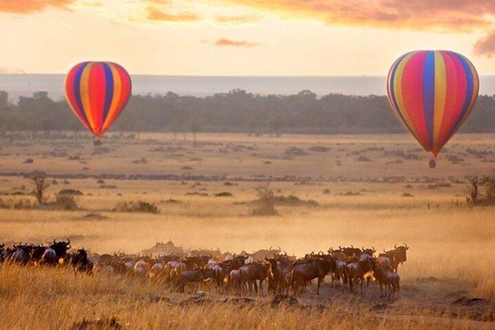 12 Days Memorable Kenya and Tanzania Safari