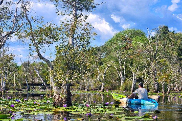 Rayong Adventure Full day Trip from Pattaya Tour