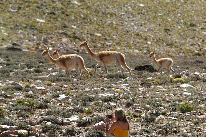 Discover the Salinas Grandes Salt Fields and Hill of Seven Colors