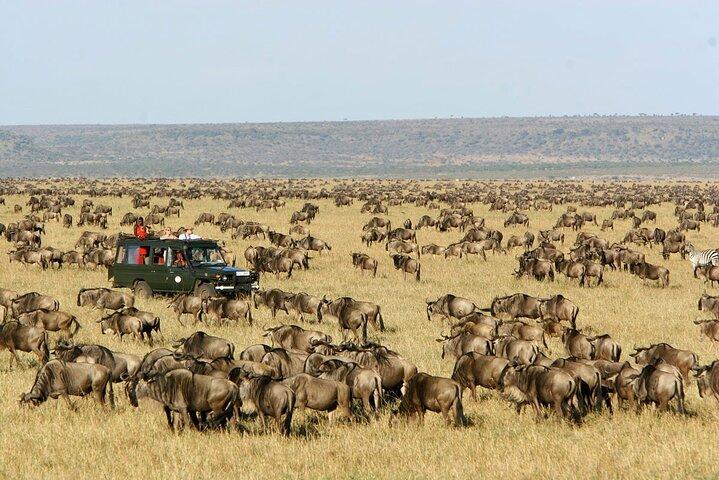 2 Days Classic Maasai Mara Safari