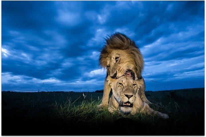 2 Days Classic Maasai Mara Safari